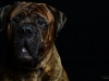 Ralphie003