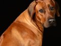 Riggs001