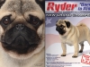 Ryder TNT Ad Proof