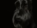 Sable005