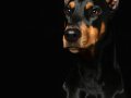 Samantha005