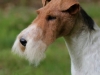 Shamus5