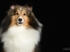 Tucker003