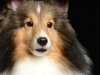 Tucker006
