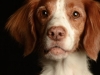 Zoey001